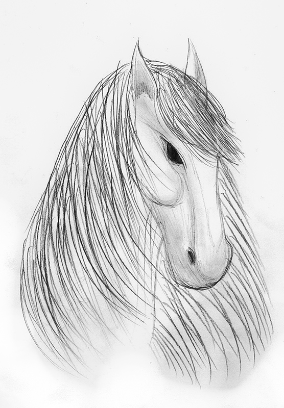 horsie