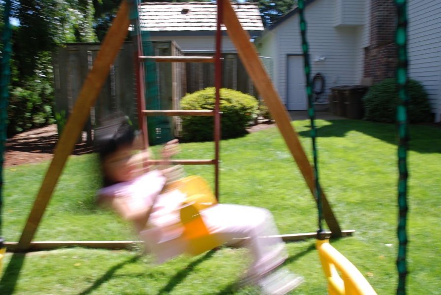 dsc_3846.jpg 356.2K