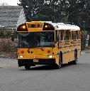 schoolbus-d08_6143.jpg 69.2K